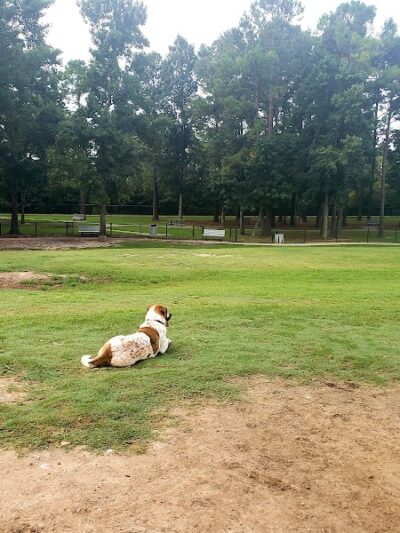 Myrtle Beach Barc Parc North - Myrtle Beach, SC