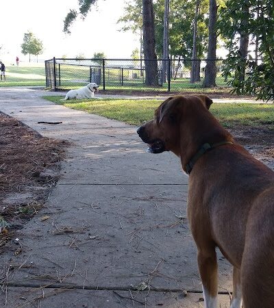 Myrtle Beach Barc Parc North - Myrtle Beach, SC