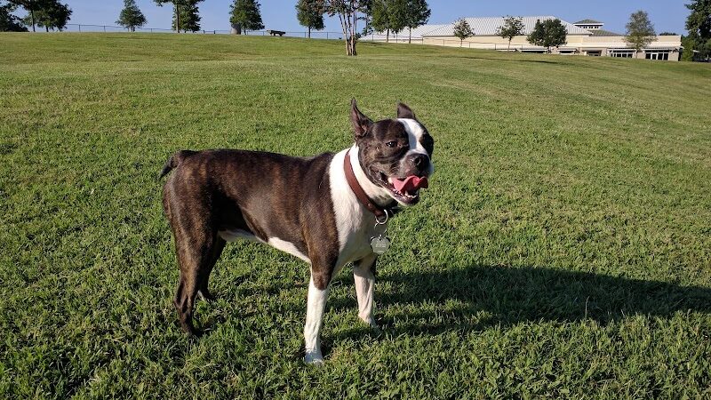 Myrtle Beach Barc Parc North - Myrtle Beach, SC