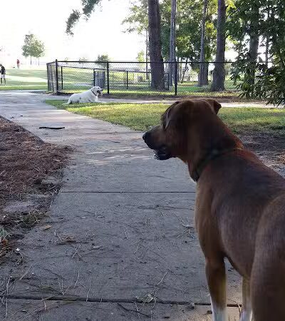 Myrtle Beach Barc Parc North - Myrtle Beach, SC