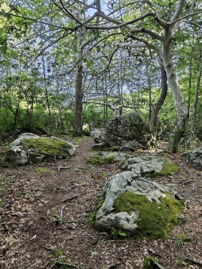Beebe Pond Park - Mystic, CT