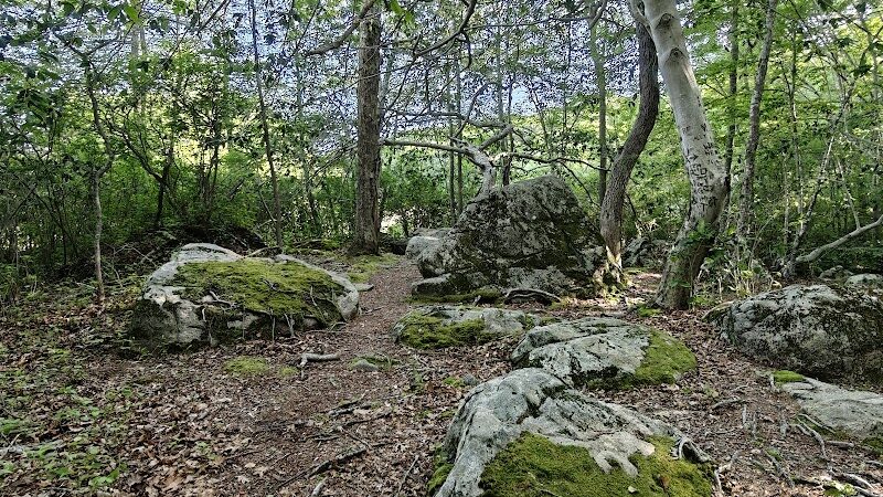 Beebe Pond Park - Mystic, CT