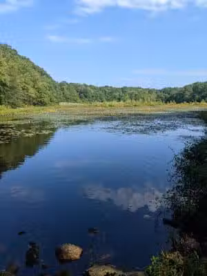 Beebe Pond Park - Mystic, CT
