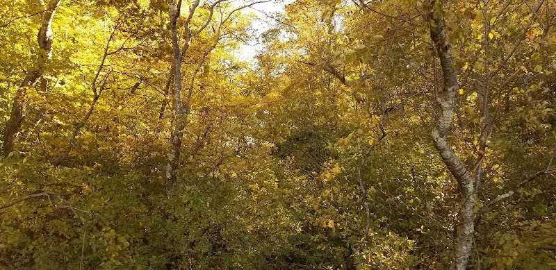 Beebe Pond Park - Mystic, CT
