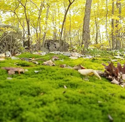 Beebe Pond Park - Mystic, CT