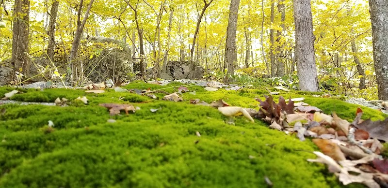 Beebe Pond Park - Mystic, CT