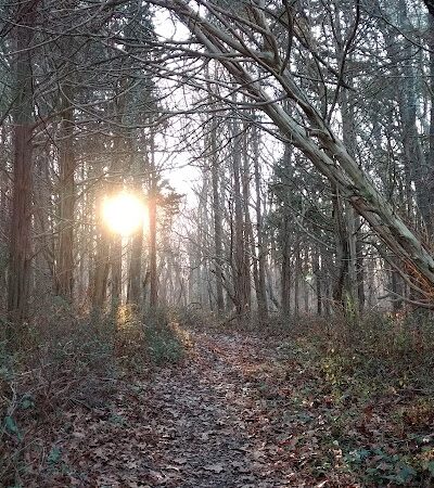 Beebe Pond Park - Mystic, CT
