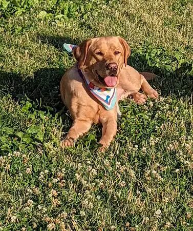 Mystic River Park - Mystic, CT