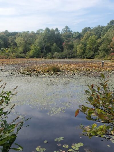 Pequot Woods Park - Mystic, CT