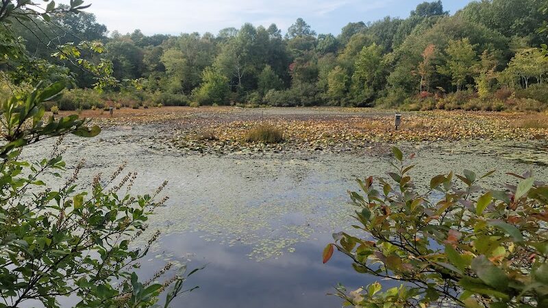 Pequot Woods Park - Mystic, CT