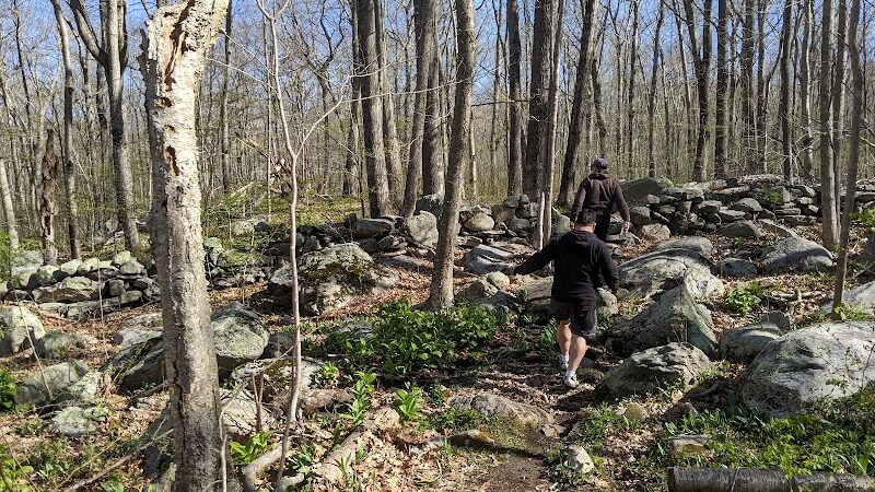 Pequot Woods Park - Mystic, CT