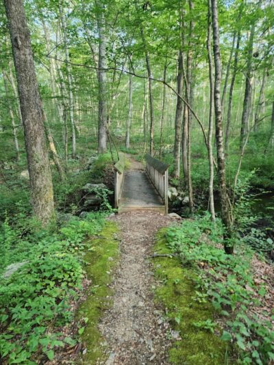 Pequot Woods Park - Mystic, CT