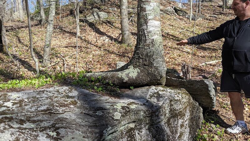 Pequot Woods Park - Mystic, CT