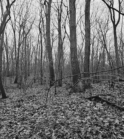 Pequot Woods Park - Mystic, CT