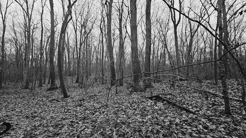 Pequot Woods Park - Mystic, CT