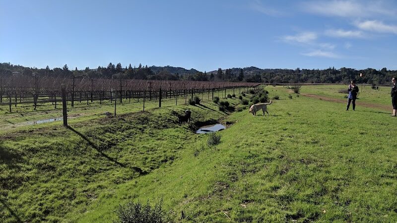 Alston Park Off-Leash Dog Area - Napa, CA
