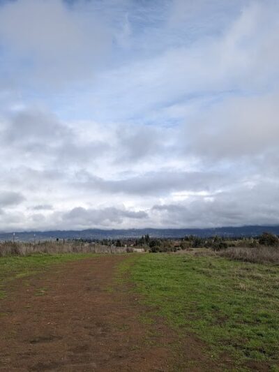 Alston Park Off-Leash Dog Area - Napa, CA