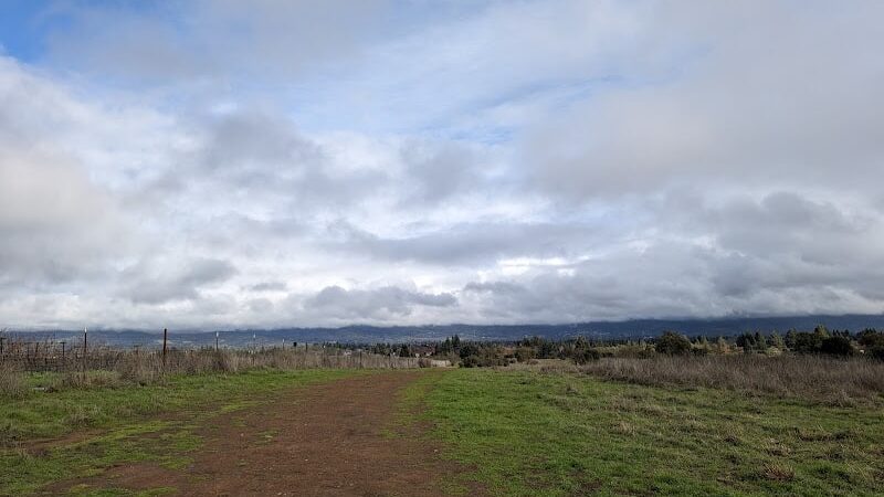 Alston Park Off-Leash Dog Area - Napa, CA