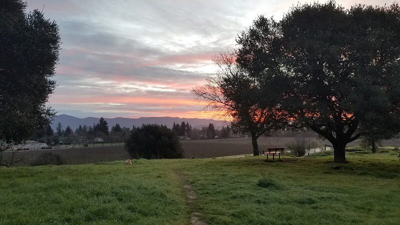 Alston Park Off-Leash Dog Area - Napa, CA
