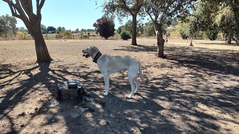 Canine Commons - Napa, CA