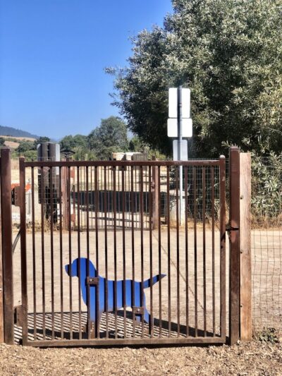 Canine Commons - Napa, CA