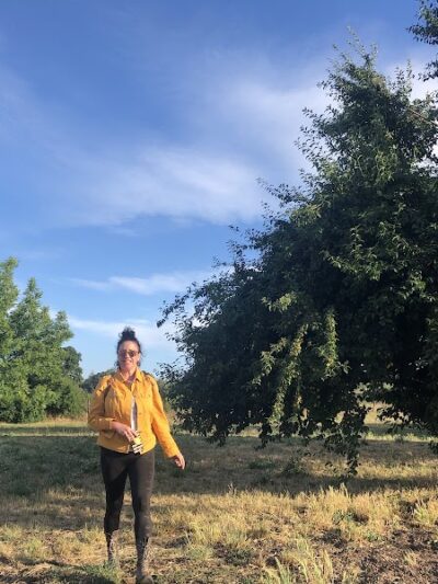 Canine Commons - Napa, CA