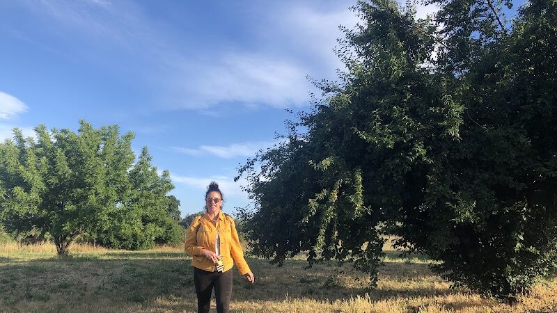 Canine Commons - Napa, CA