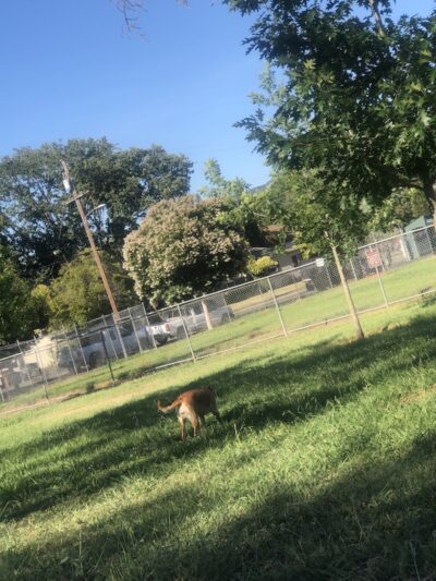 Kiwanis Park - Napa, CA