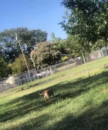 Kiwanis Park - Napa, CA