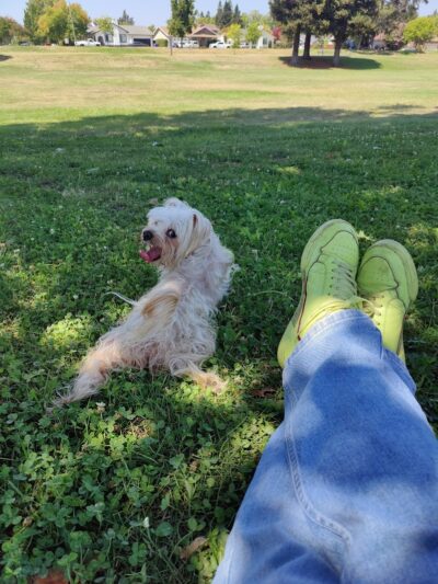 Lake Park - Napa, CA