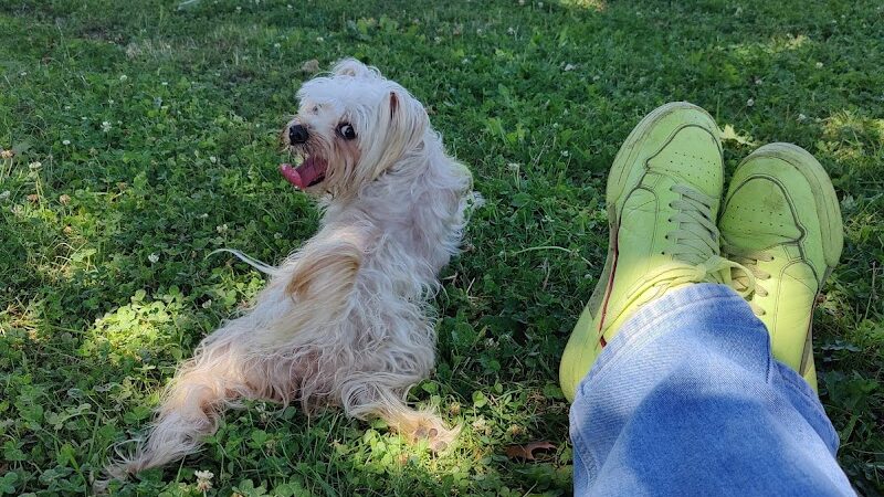 Lake Park - Napa, CA