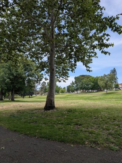 Lake Park - Napa, CA