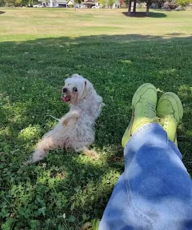 Lake Park - Napa, CA