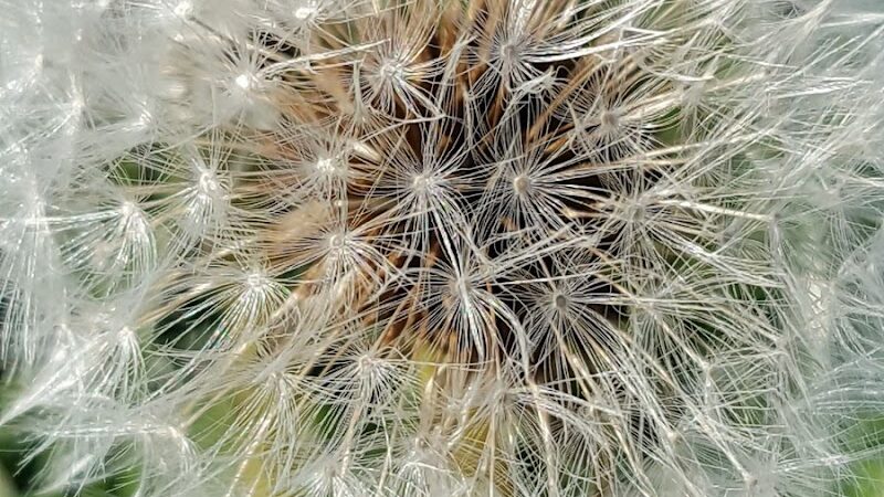 O’Brien Park - Napa, CA