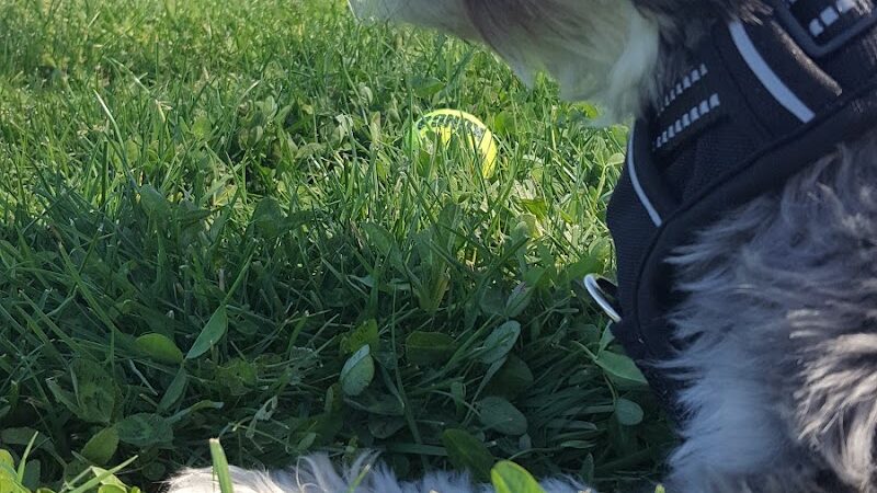 O’Brien Park - Napa, CA