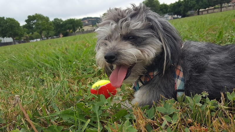 O’Brien Park - Napa, CA