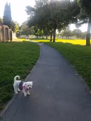 O’Brien Park - Napa, CA