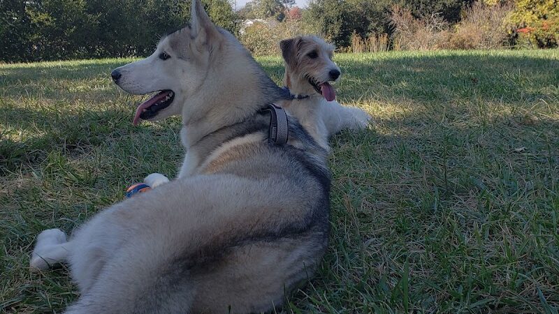 Shurtleff Park - Napa, CA