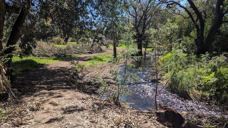 Shurtleff Park - Napa, CA