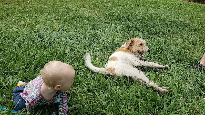Shurtleff Park - Napa, CA