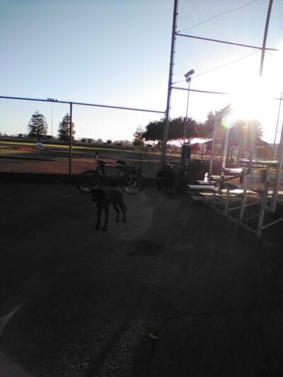 Shurtleff Park - Napa, CA