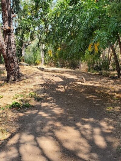 Shurtleff Park - Napa, CA