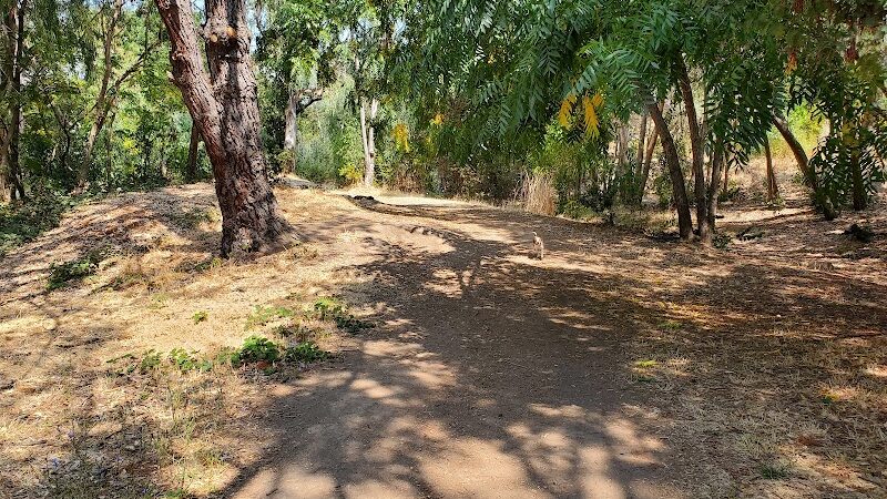 Shurtleff Park - Napa, CA