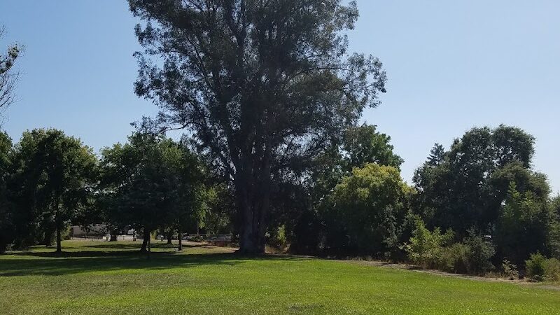 Shurtleff Park - Napa, CA