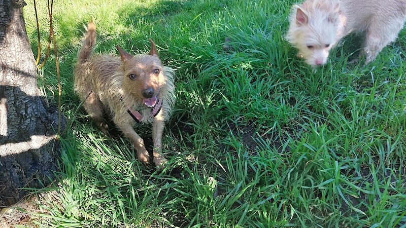 Shurtleff Park - Napa, CA