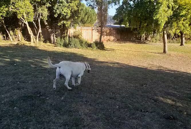 Shurtleff Park - Napa, CA