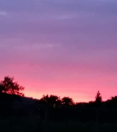 Solomon Park - Napa, CA