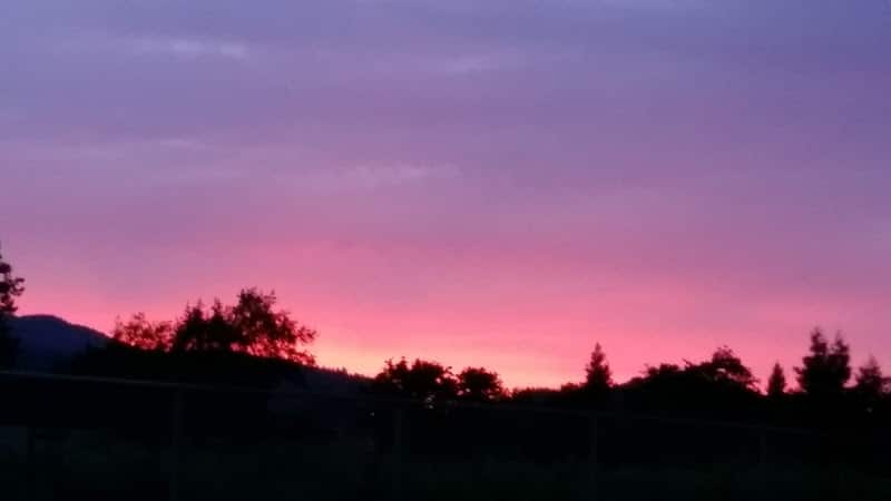 Solomon Park - Napa, CA