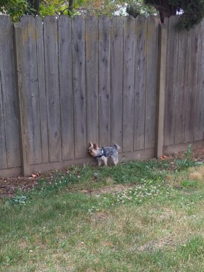 Solomon Park - Napa, CA