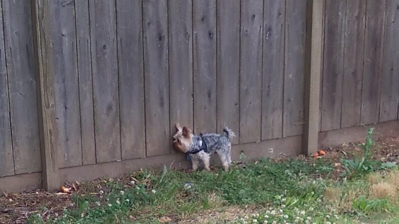 Solomon Park - Napa, CA